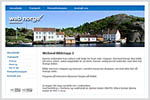 Webdesign maler